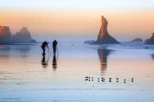 Bandon Beach-3148